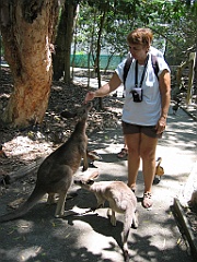 255 Wildlife Habitat Port Douglas